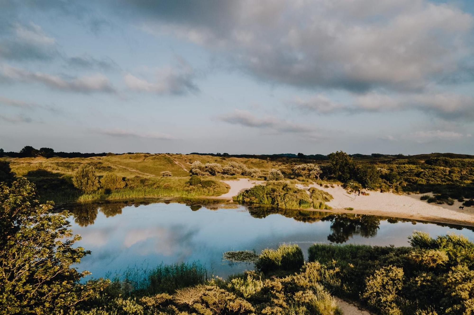 De Schelp 85 Daire Zandvoort Dış mekan fotoğraf